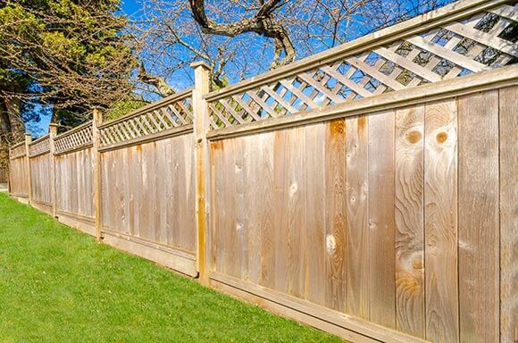clear-garden-fence-preservative-on-fence-panels